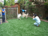 東京都三鷹市　Ｙ様邸にドッグラン用として人工芝を設置しました