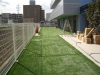 神奈川県横浜市大豆戸　新築保育園園庭　人工芝ステップターフが採用されまして施工しました。